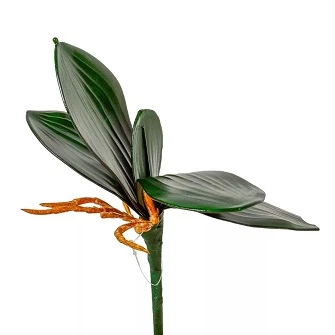 Medvés Nagykereskedés