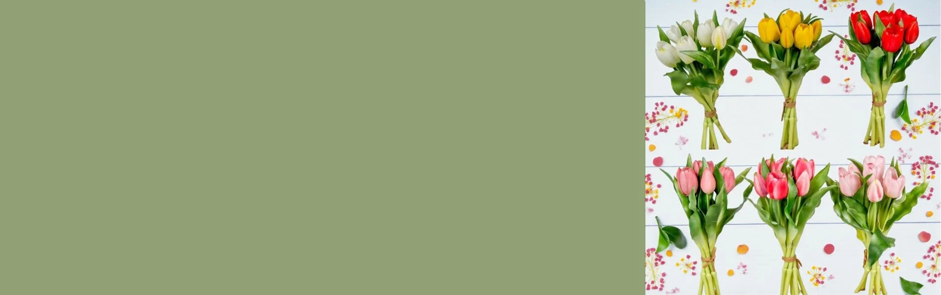 Medvés Nagykereskedés