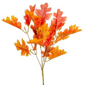 Őszi bokor 5űgú M34cm 60db/#