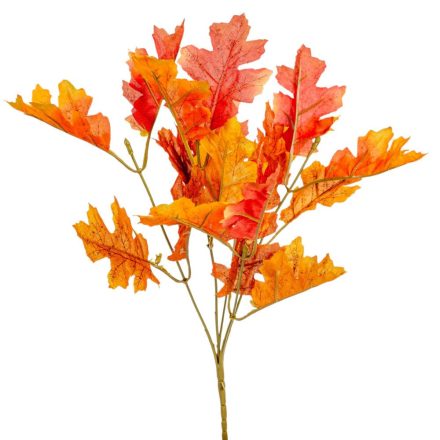 Őszi bokor 5űgú M34cm 60db/#