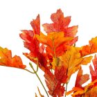 Őszi bokor 5űgú M34cm 60db/#