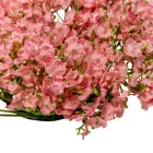 Apró virágos koszorú rózsaszín D20cm 18db/#