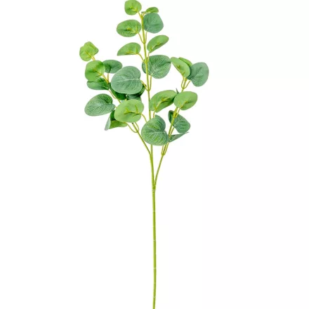 Eukaliptusz ág M62cm 36db/#