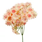 Gipsó rózsaszín 10db/köteg M32cm 24db/#