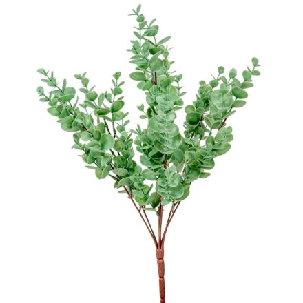 Eukaliptusz bokor 7ágú M43cm 48db/#