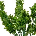 Buxus csokor 7ágú M40cm 48db/#