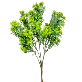 Kövirózsa bokor 5ágú M31cm 60db/#