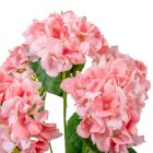 Hortenzia csokor 5v. pink M47cm 24db/#