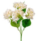Hortenzia csokor 5v. ivory M47cm 24db/#