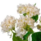 Hortenzia csokor 5v. ivory M47cm 24db/#