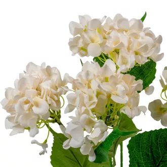 Hortenzia csokor 5v. ivory M47cm 24db/#
