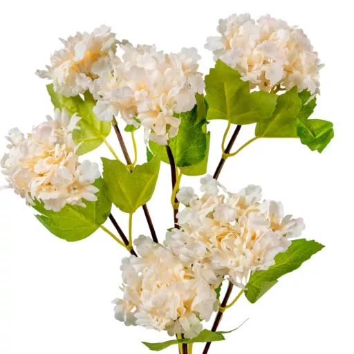 Hortenzia ág 6v. ivory M100cm 24db/#