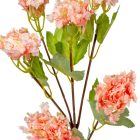 Hortenzia ág 6v. rózsaszín-krém M100cm 24db/#