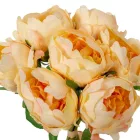 Rózsa köteg 7v. világosbarack M25cm 12db/#