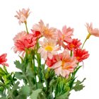 Százszorszép csokor 5ágú világos rózsaszín M28cm 48db/#