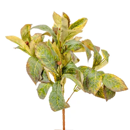 Leveles bokor 6ágú M38cm