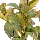 Leveles bokor 6ágú M38cm