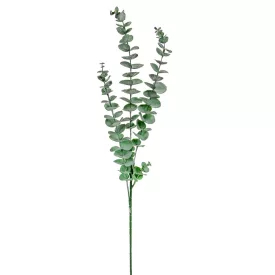 Eukaliptusz ág M75cm 50db/#
