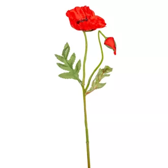Pipacs szálas piros M44cm 36db/#