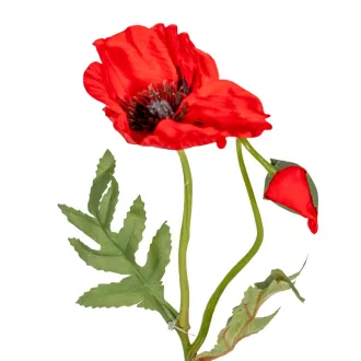 Pipacs szálas piros M44cm 36db/#