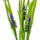 Györgyike 3v. lila M33cm