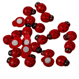 Katicabogár fa öntapadós 1,5cm 24db-os