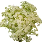 Bodza köteg 4ágú fehér M33cm 24db/#