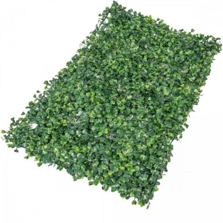 Buxus szőnyeg zöld 60x40cm