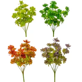 Pozsgás varjúháj csokor 7ágú M30cm