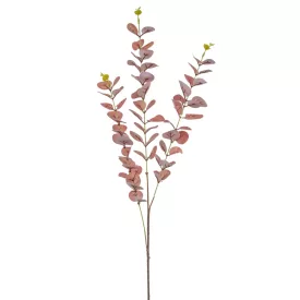 Eukaliptusz púder M82cm 150db/#