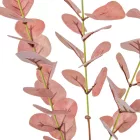 Eukaliptusz púder M82cm 150db/#