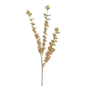 Eukaliptusz barna M82cm 150db/#