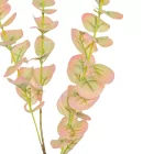 Eukaliptusz barna M82cm 150db/#