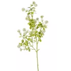 Eukaliptusz ág zöld-fehér M61cm 120db/#