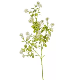 Eukaliptusz ág zöld-fehér M61cm 120db/#