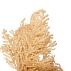 Korall ág  bézs 29cm