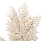 Korall ág krém 29cm