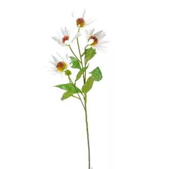 Kasvirág szálas 4v. fehér M72cm 36db/#