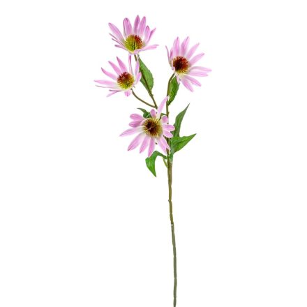 Kasvirág 4v. lila M75cm 36db/#