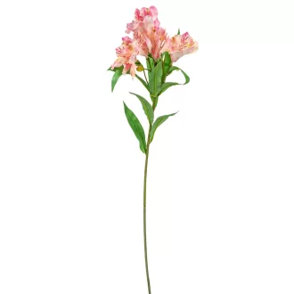 Asztromélia szálas világos rózsaszín M80cm 24db/#