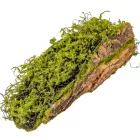 Fa kéreg mohával 38cm