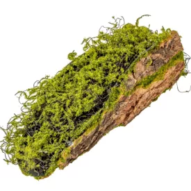 Fa kéreg mohával 38cm