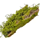 Fa kéreg mohával 29cm