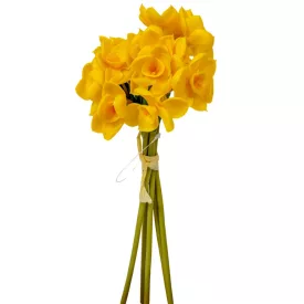 Nárcisz köteg gumi 5szálas sárga M25cm 24db/#