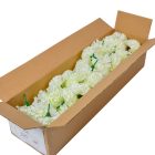 Szegfű virágfej D8cm 300 50db/#