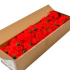 Szegfű virágfej D8cm 400 50db/#