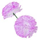 Szegfű virágfej D8cm 806 50db/#