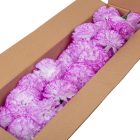 Szegfű virágfej D8cm 806 50db/#