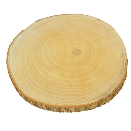 Paulownia fa szelet D40cm (természetes fa, repedések előfordulhatnak)