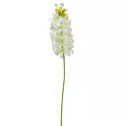 Jácint szálas fehér M51cm 72db/#